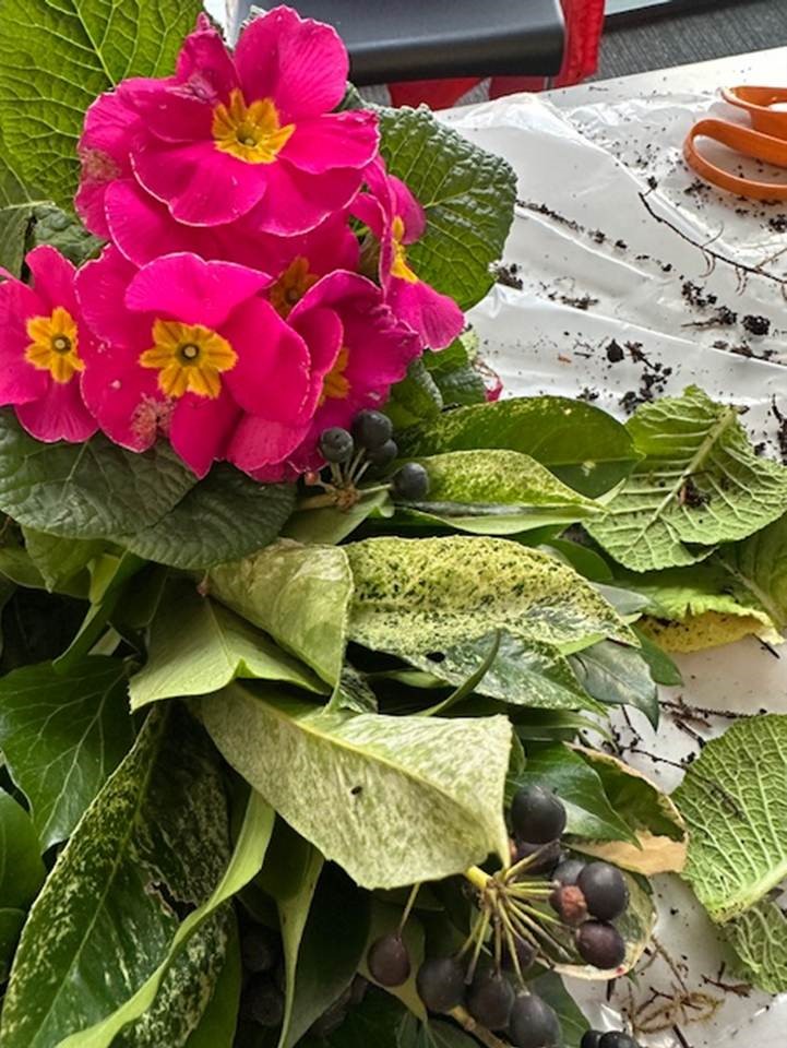 Flower