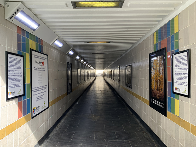 Student's photography of underground tunnel