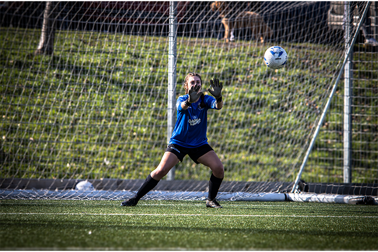 Goalkeeper saving a shot