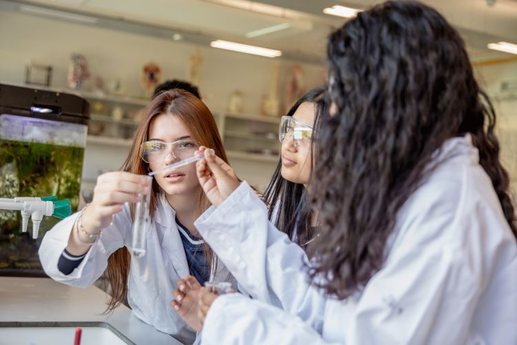 Students adding a sample to a test-tube
