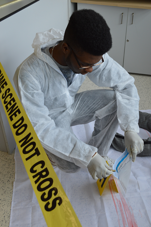 Study Crime Criminology | West Herts College