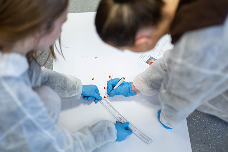 Students marking droplet samples