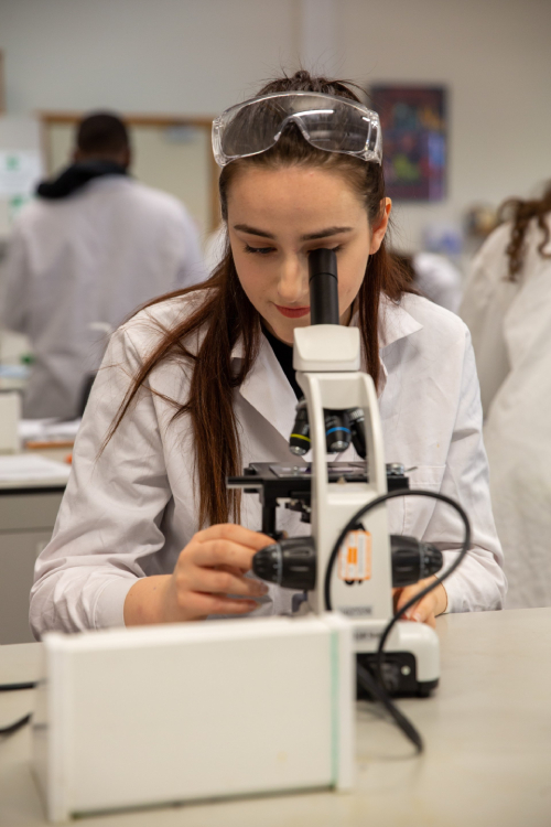 Student using a microscope