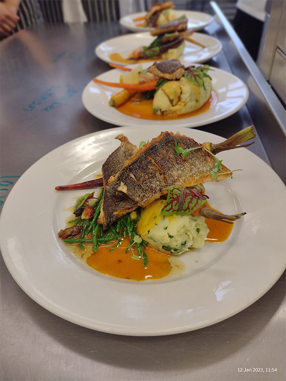 Fish dish plated ready to be reviewed