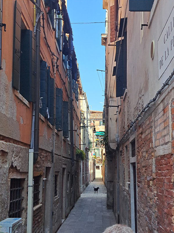 Streets of Venice