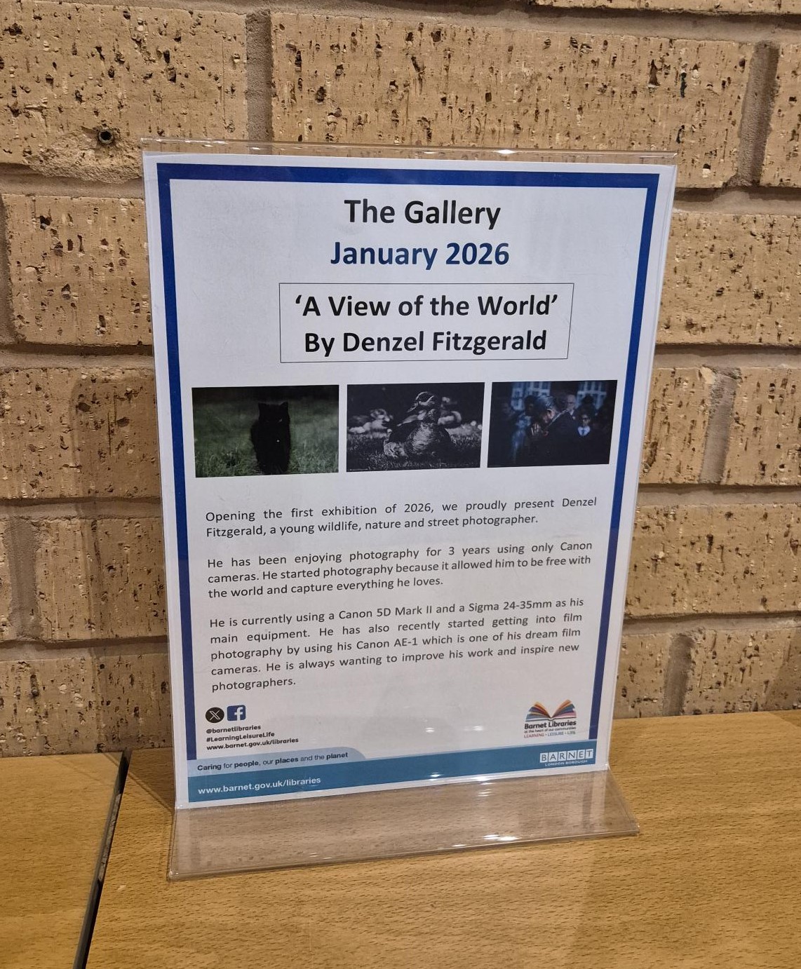 Photo of exhibition details