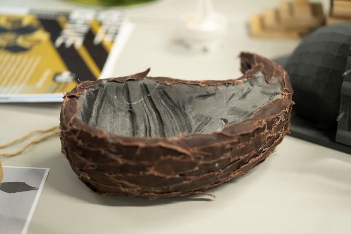 Student model of nest